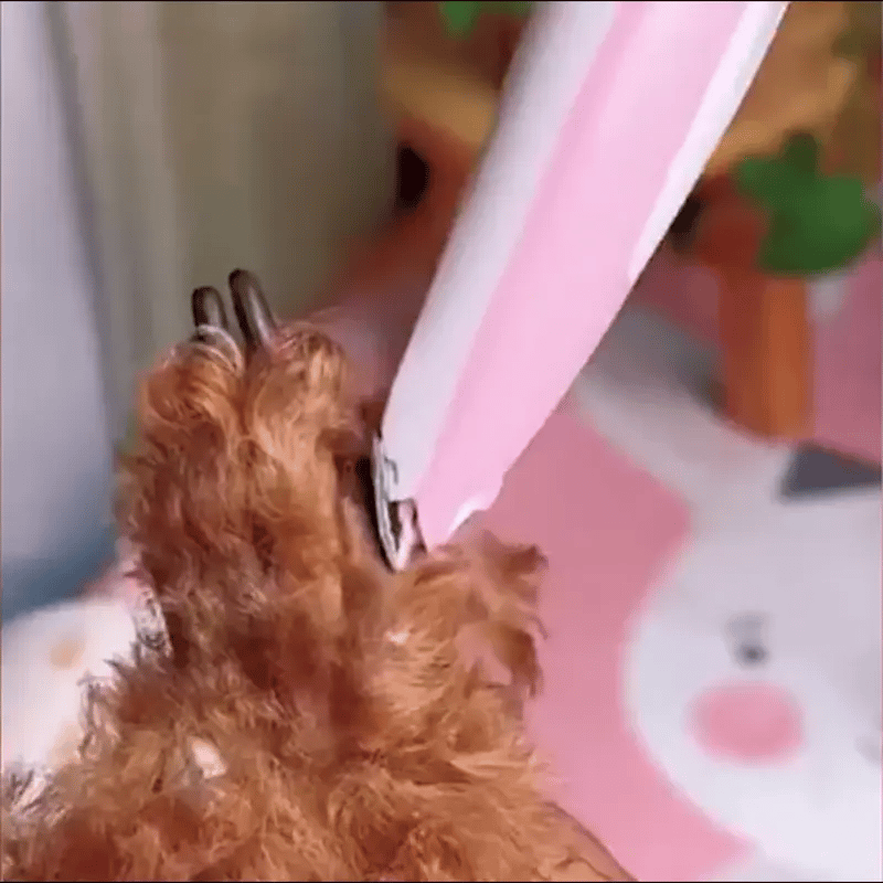 Cortapelos para Mascotas con Luz LED: Precisión y Comodidad en el Cuidado de tu Mascota