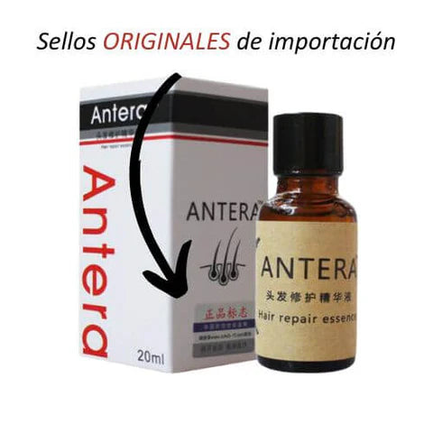 Encabezado